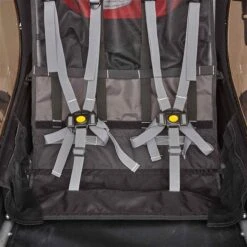 Burley Honey Bee Fahrradanhänger Rot 2-Sitzer Mit Buggy-Funktion -Bester Babyprodukte Geschäfte 9 honey bee interior webex
