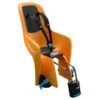 Thule RideAlong Lite Fahrradkindersitz Zinnia Die Sichere Transportmöglichkeit